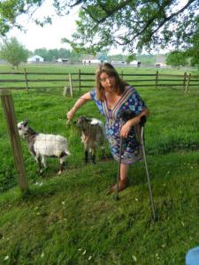 I met a friend, a goat that is also missing something!