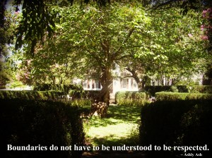 Boundaries do not have to be understood