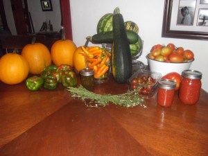 Harvest from one of our gardens