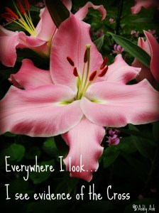 evidence of the cross