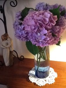 983604_406485569467635_1626896621_n