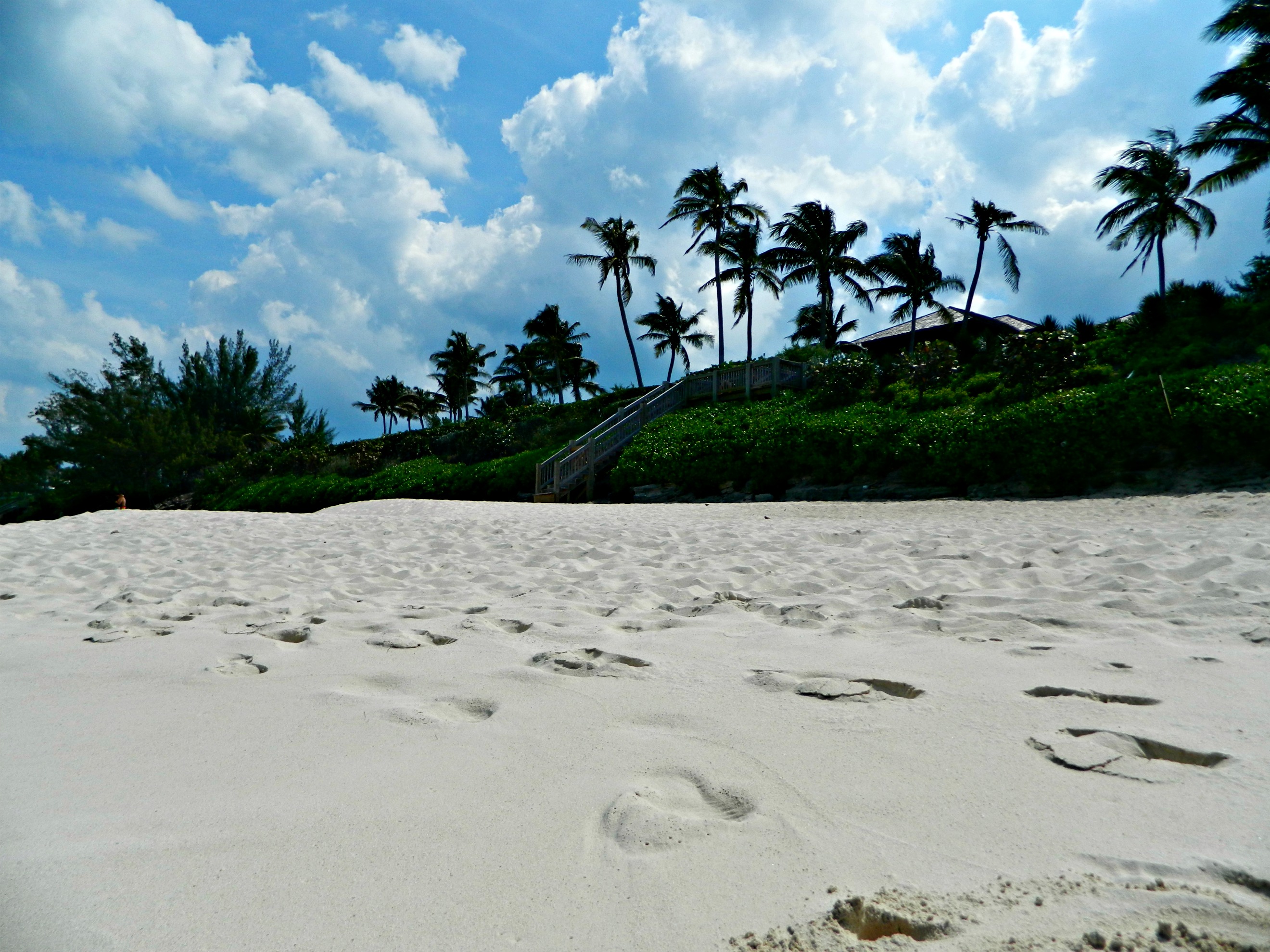 March 2014 200 piknik