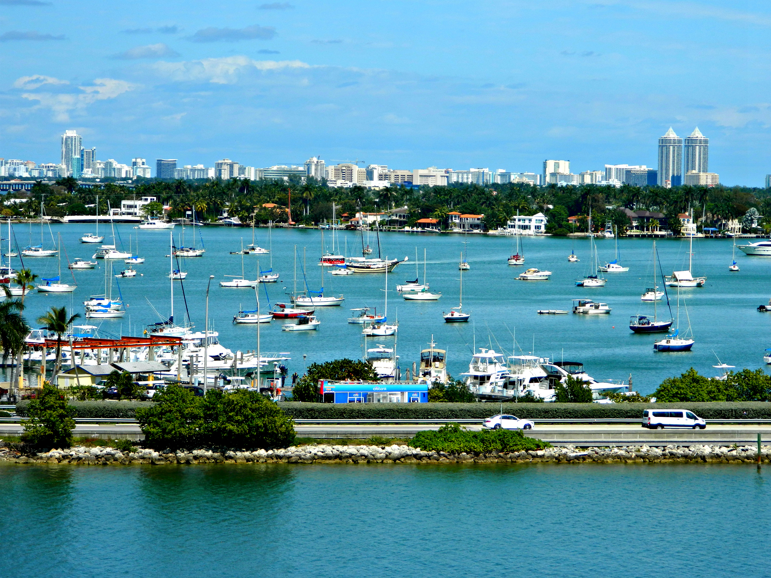 03 march 2016 010piknik