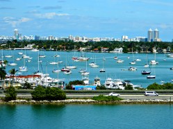 03 march 2016 010piknik