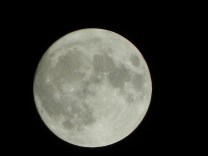 11-november-pam-party-053