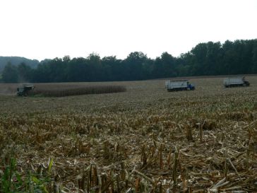 540078_279258695523657_102423237_n